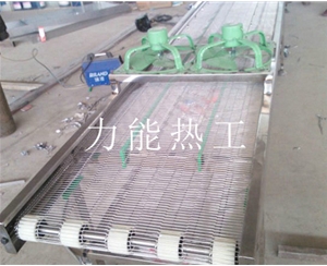 云南乙字网输送机