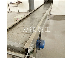 云南链板输送机